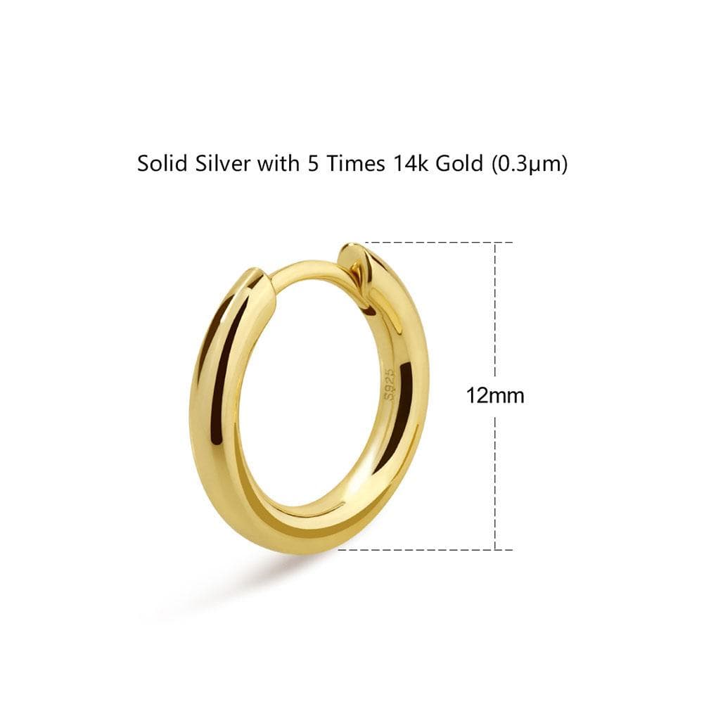 Wholesale S925 Sterling Silver Hoop Earrings Gold Earrings Hypoallergenic for Men Women