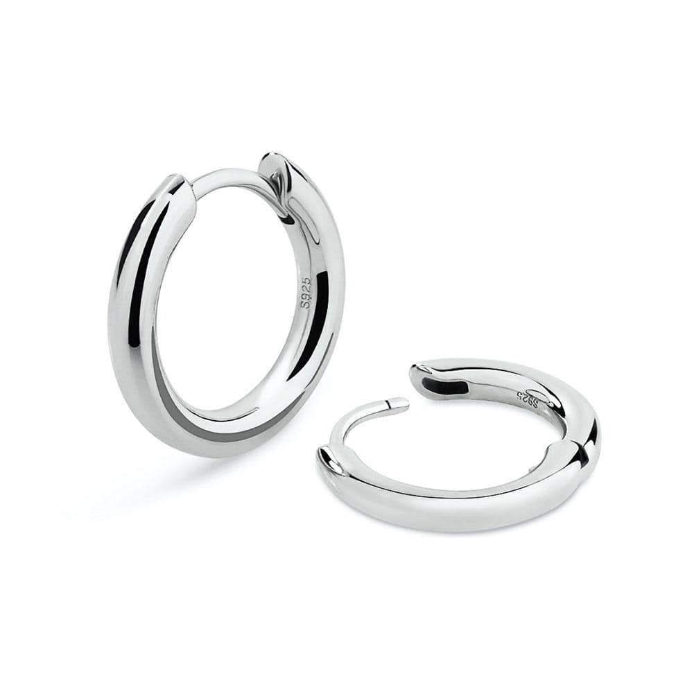 Wholesale S925 Sterling Silver Hoop Earrings Gold Earrings Hypoallergenic for Men Women