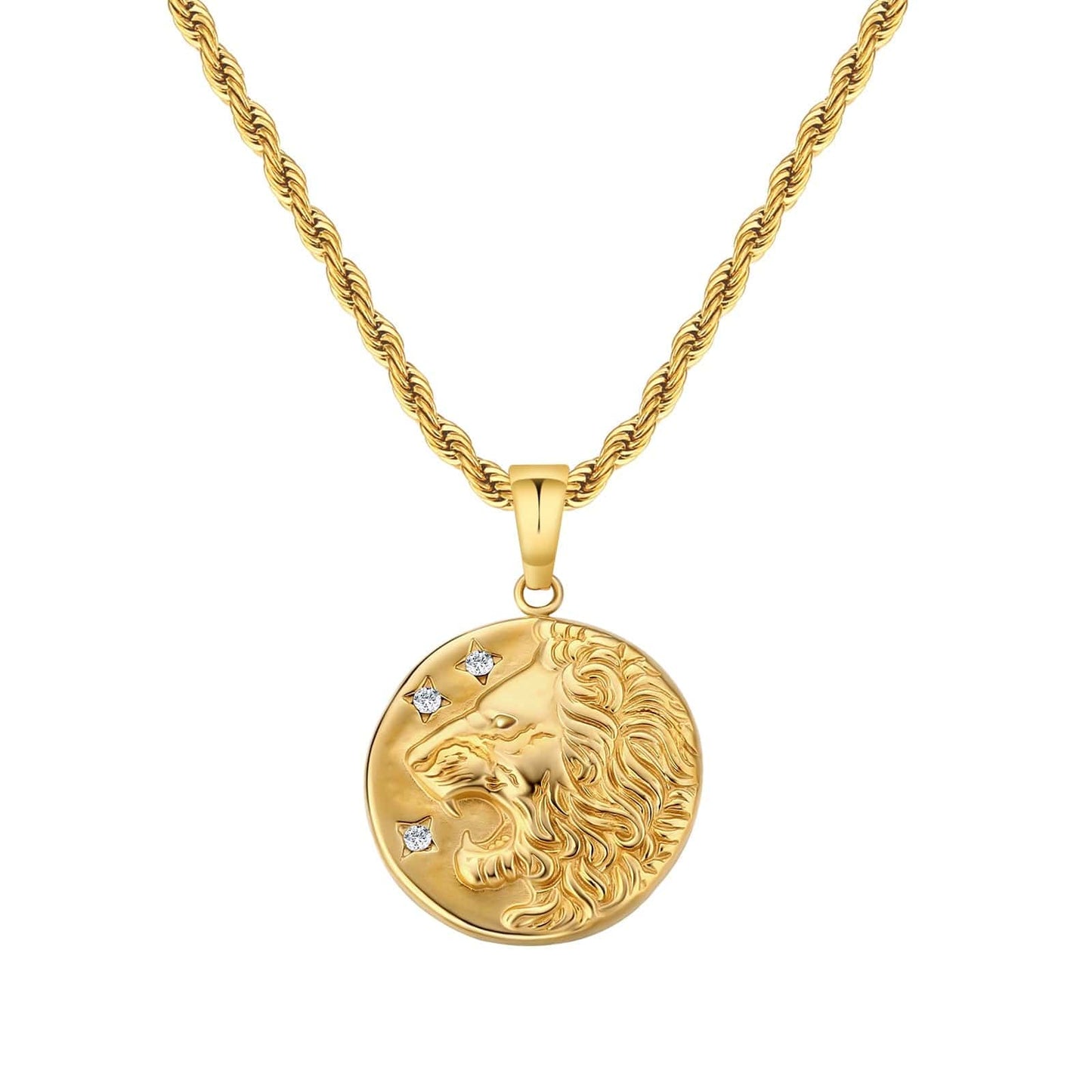 Lion Gold Coin Pendant Necklace with Rope Chain for Men