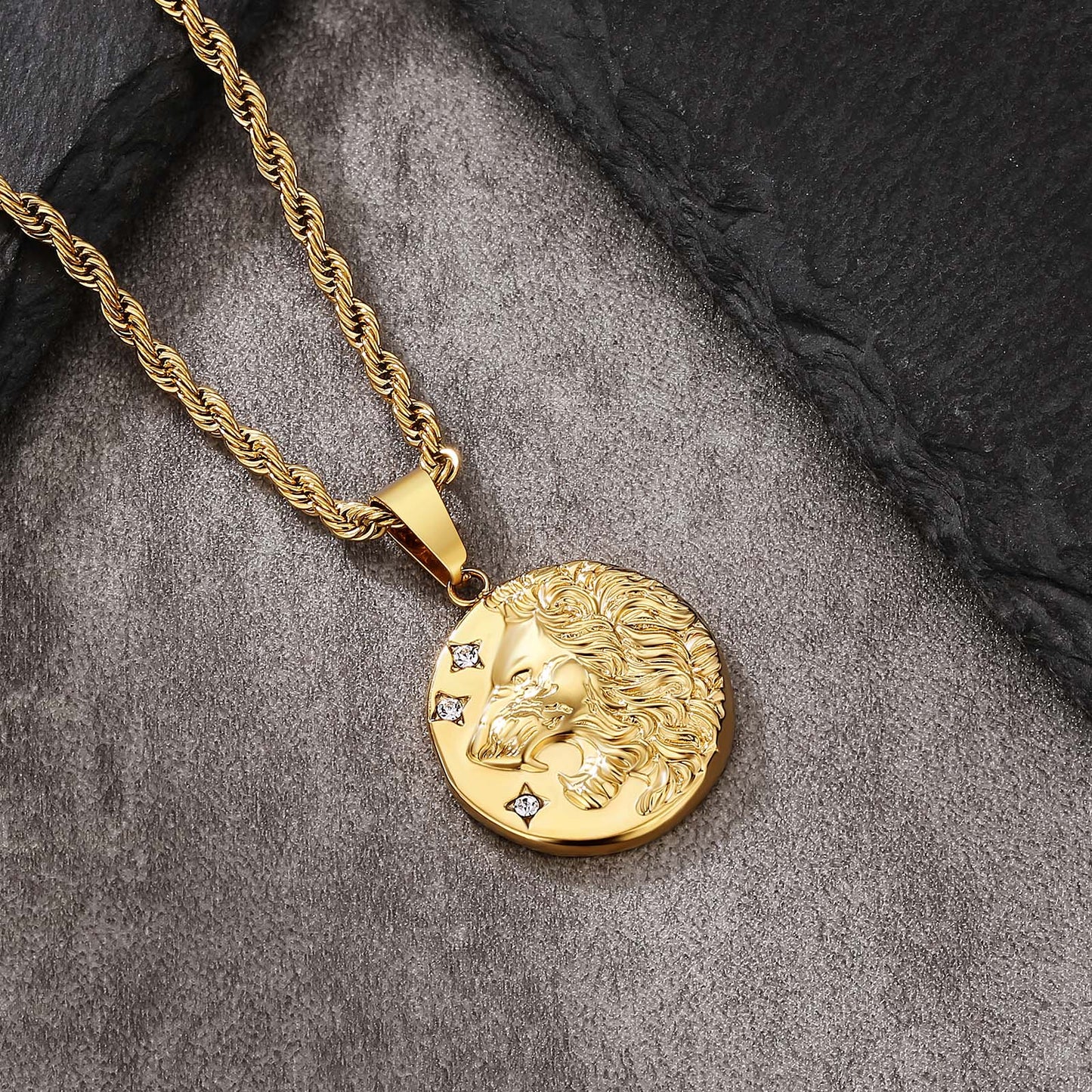 Lion Gold Coin Pendant Necklace with Rope Chain for Men