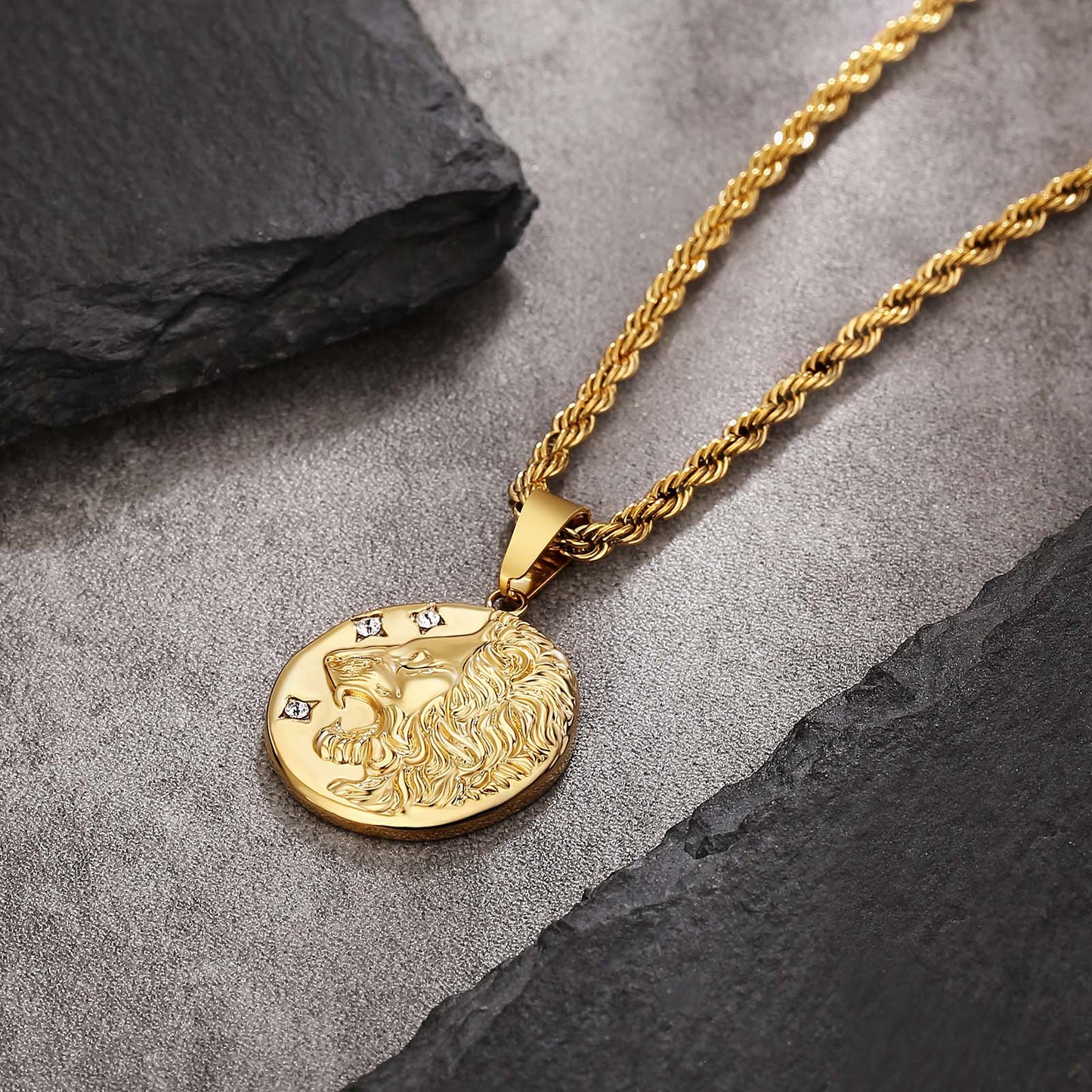 Lion Gold Coin Pendant Necklace with Rope Chain for Men