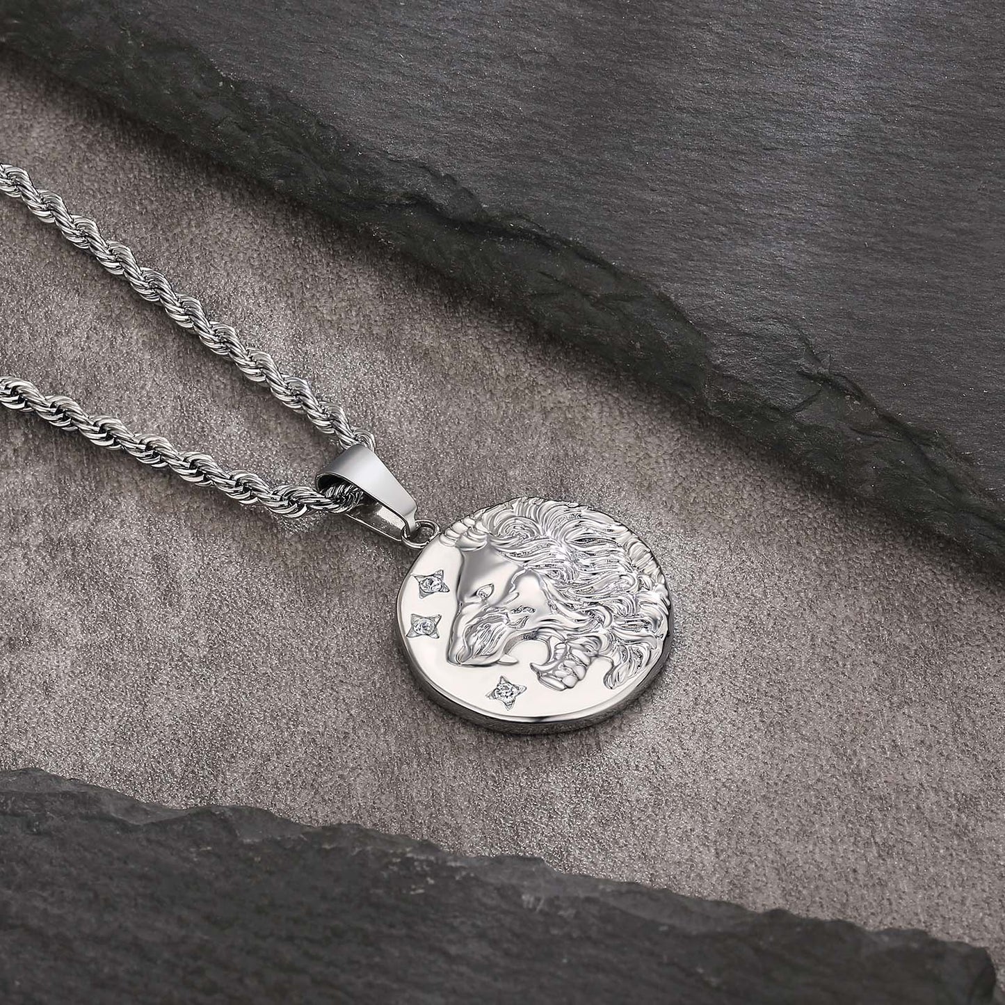 Lion Gold Coin Pendant Necklace with Rope Chain for Men